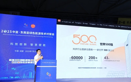 2025中亚·东南亚绿色能源技术对接会顺利举办活动现场4.png
