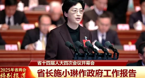 四川电力能源新蓝图：2025年多元化战略部署.png